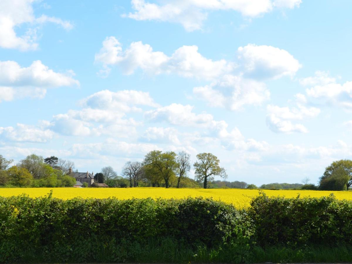 The Bird In Hand Ashwellthorpe Bagian luar foto